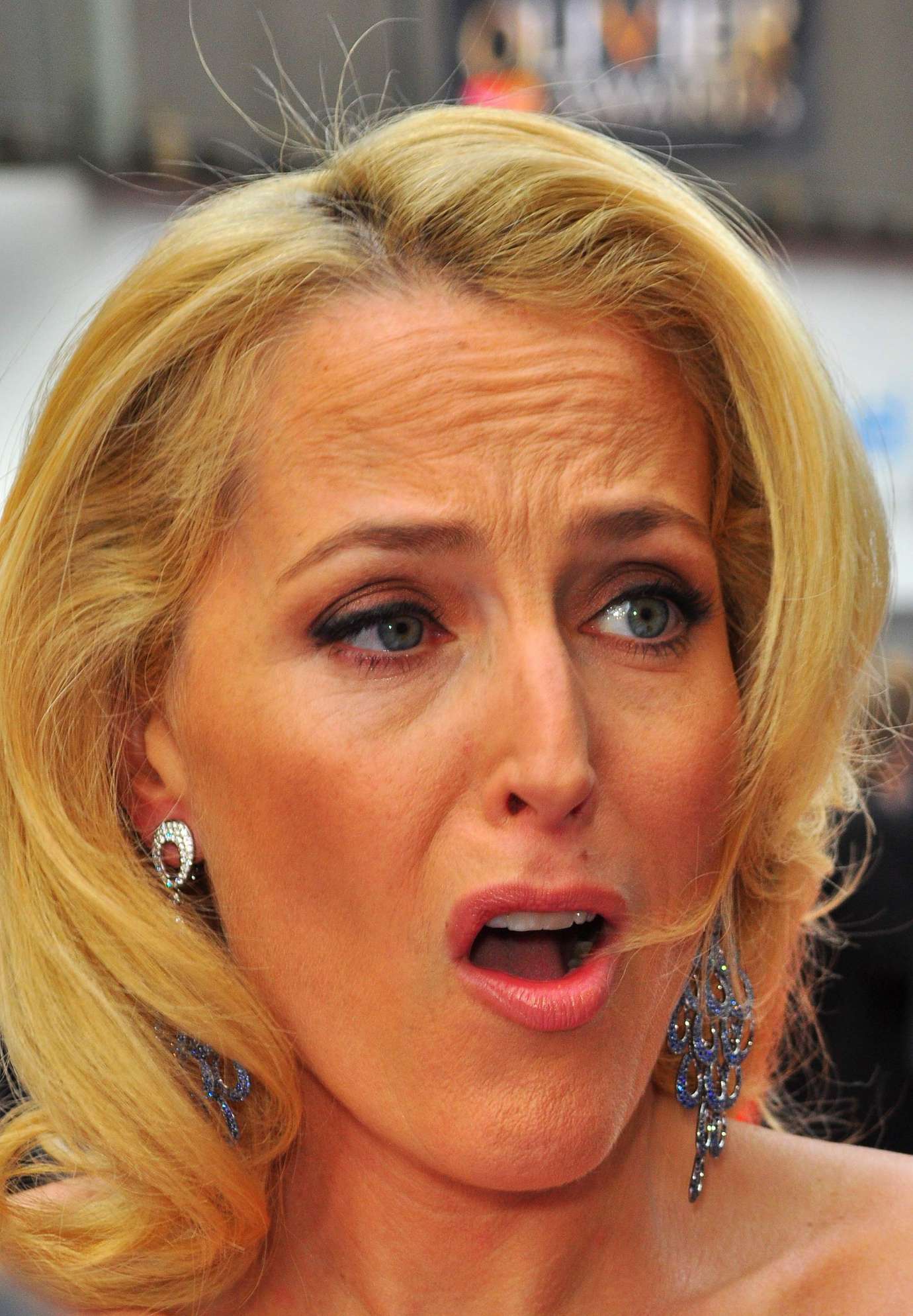 Gillian Anderson 309